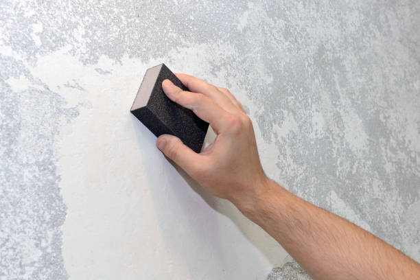 Best Basement Mold Removal  in Kaunakakai, HI