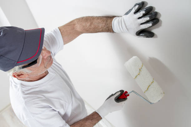 Best Commercial Mold Inspection  in Kaunakakai, HI