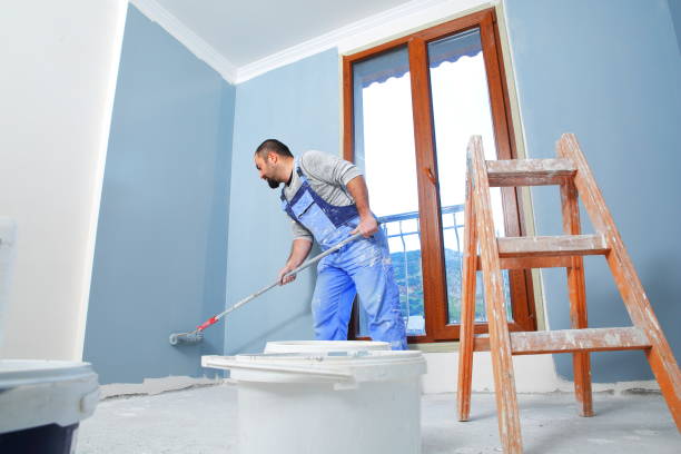 Best Environmental Consulting for Mold Prevention  in Kaunakakai, HI