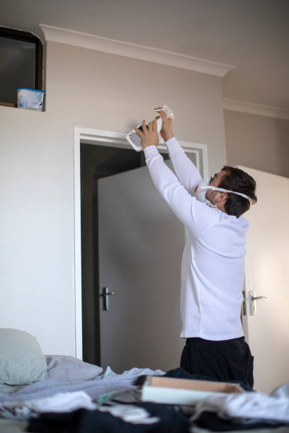 Best Mold Odor Removal Services  in Kaunakakai, HI