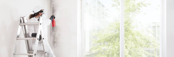 Best Mold Remediation for Rental Properties  in Kaunakakai, HI