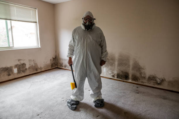 Best Biohazard Mold Removal  in Kaunakakai, HI