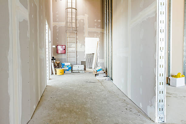 Best Crawl Space Mold Remediation  in Kaunakakai, HI