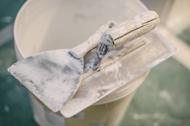 Best Mold Damage Restoration  in Kaunakakai, HI